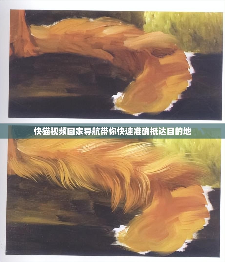 快猫视频回家导航带你快速准确抵达目的地