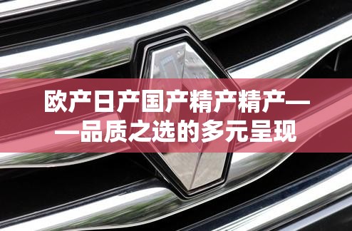欧产日产国产精产精产——品质之选的多元呈现