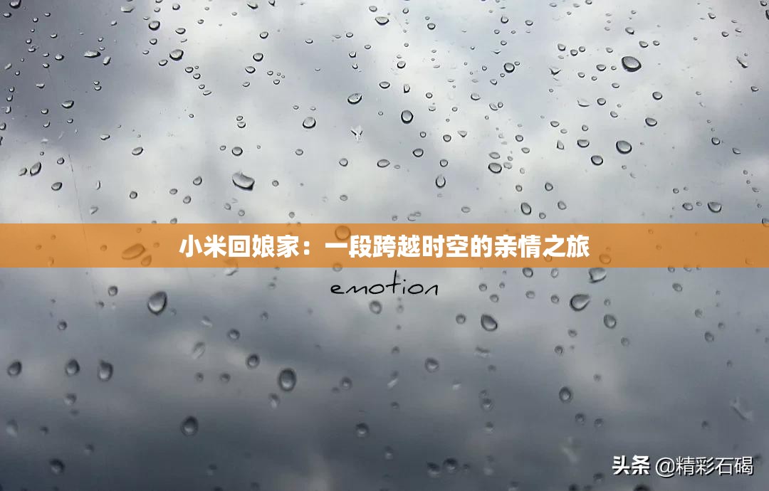小米回娘家：一段跨越时空的亲情之旅