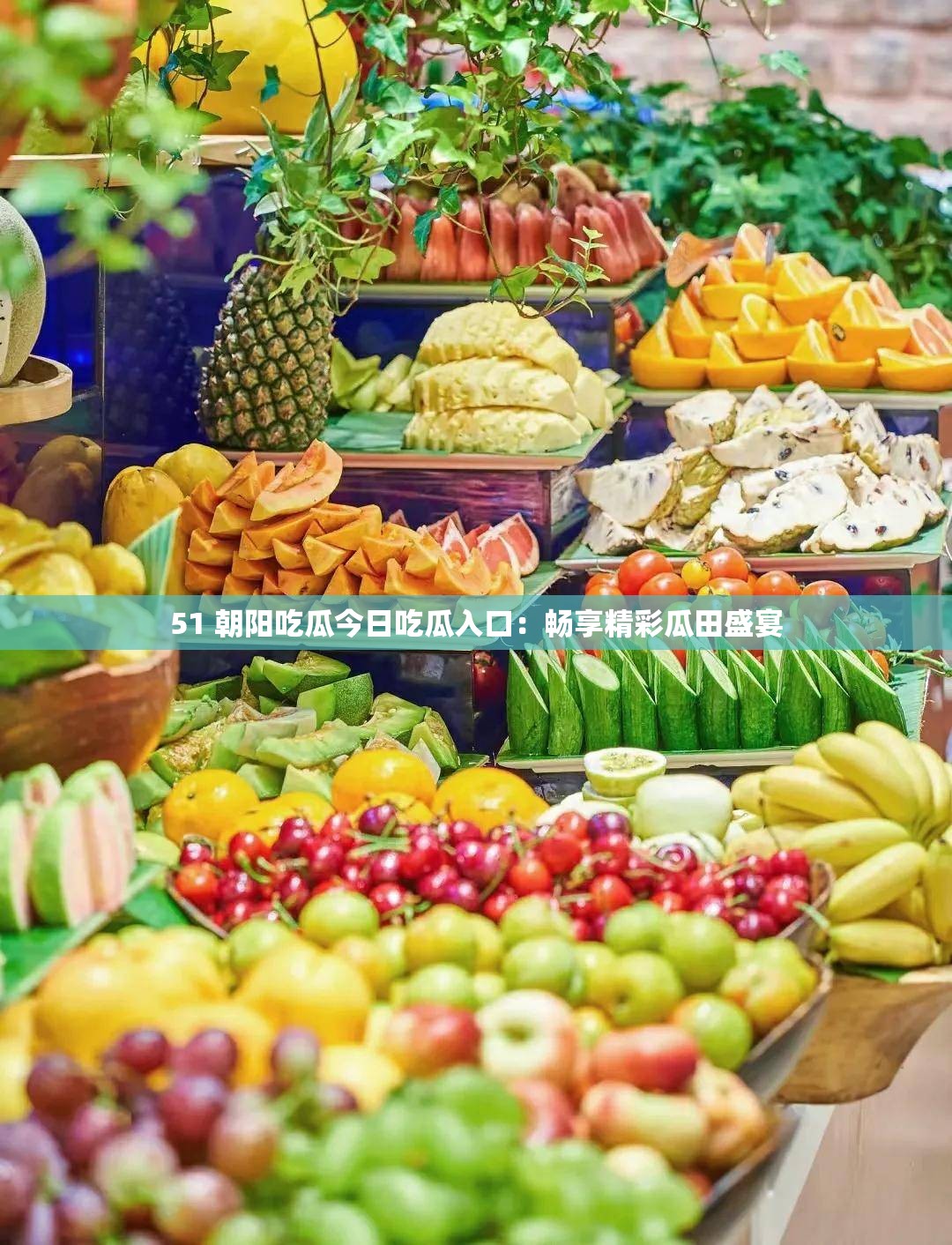 51 朝阳吃瓜今日吃瓜入口：畅享精彩瓜田盛宴