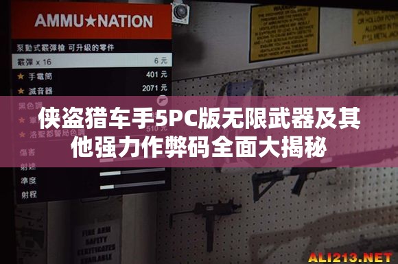 侠盗猎车手5PC版无限武器及其他强力作弊码全面大揭秘