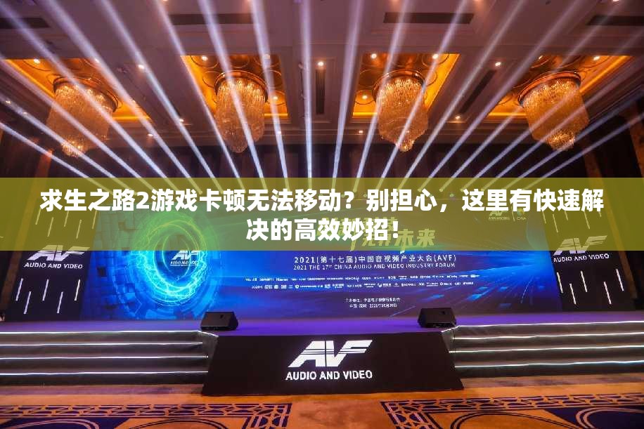 求生之路2游戏卡顿无法移动？别担心，这里有快速解决的高效妙招！