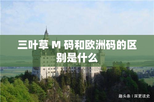三叶草 M 码和欧洲码的区别是什么