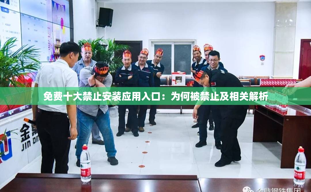 免费十大禁止安装应用入口：为何被禁止及相关解析