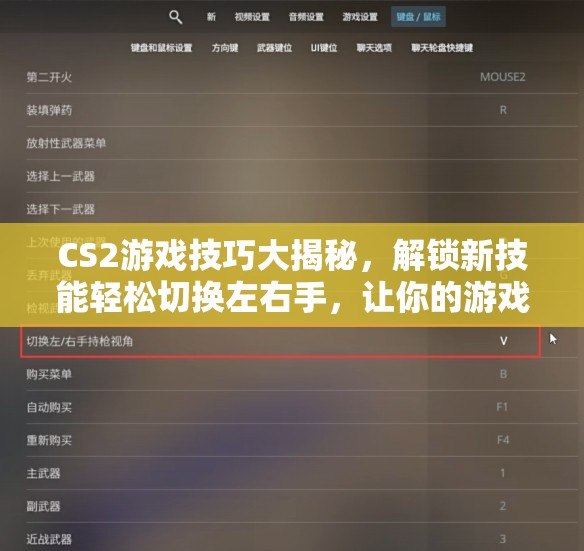 CS2游戏技巧大揭秘，解锁新技能轻松切换左右手，让你的游戏操作更加流畅炫酷！