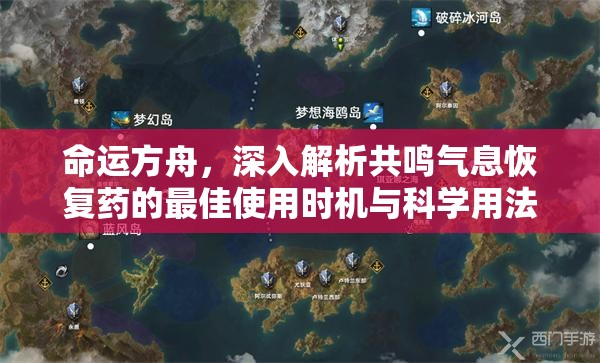 命运方舟，深入解析共鸣气息恢复药的最佳使用时机与科学用法