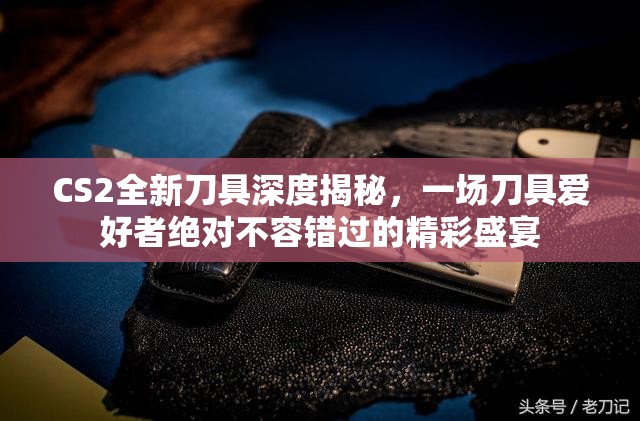 CS2全新刀具深度揭秘，一场刀具爱好者绝对不容错过的精彩盛宴