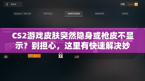 CS2游戏皮肤突然隐身或枪皮不显示？别担心，这里有快速解决妙招！