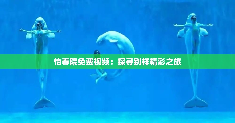 怡春院免费视频：探寻别样精彩之旅