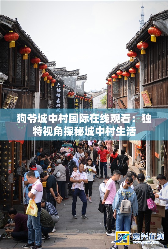 狗爷城中村国际在线观看：独特视角探秘城中村生活