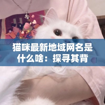 猫咪最新地域网名是什么啥：探寻其背后的文化意义和潮流趋势