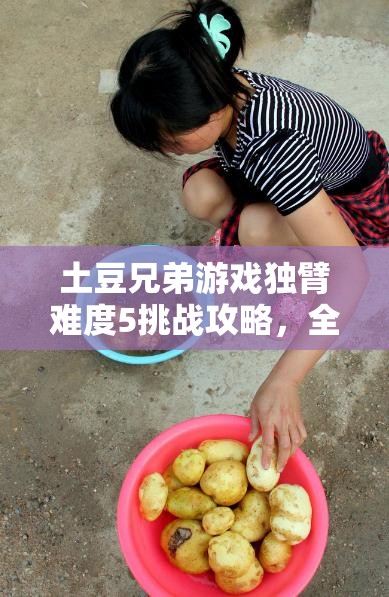 土豆兄弟游戏独臂难度5挑战攻略，全面解析通关技巧与策略