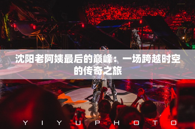 沈阳老阿姨最后的巅峰：一场跨越时空的传奇之旅