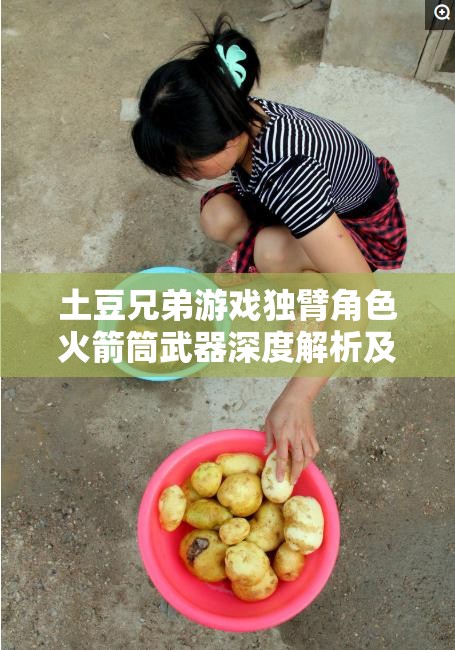 土豆兄弟游戏独臂角色火箭筒武器深度解析及资源管理策略艺术
