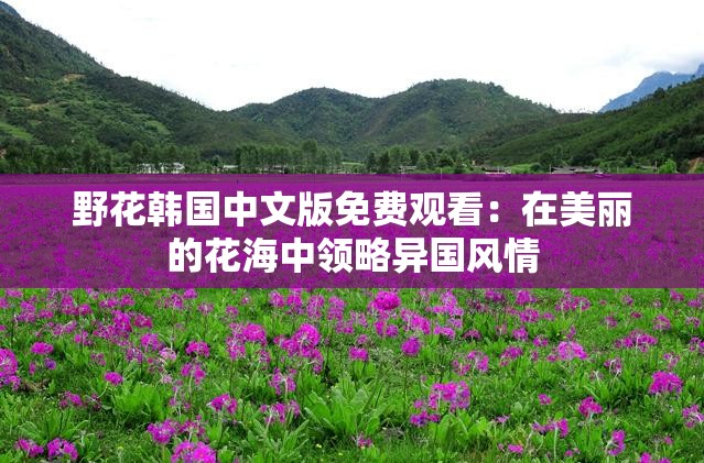 野花韩国中文版免费观看：在美丽的花海中领略异国风情