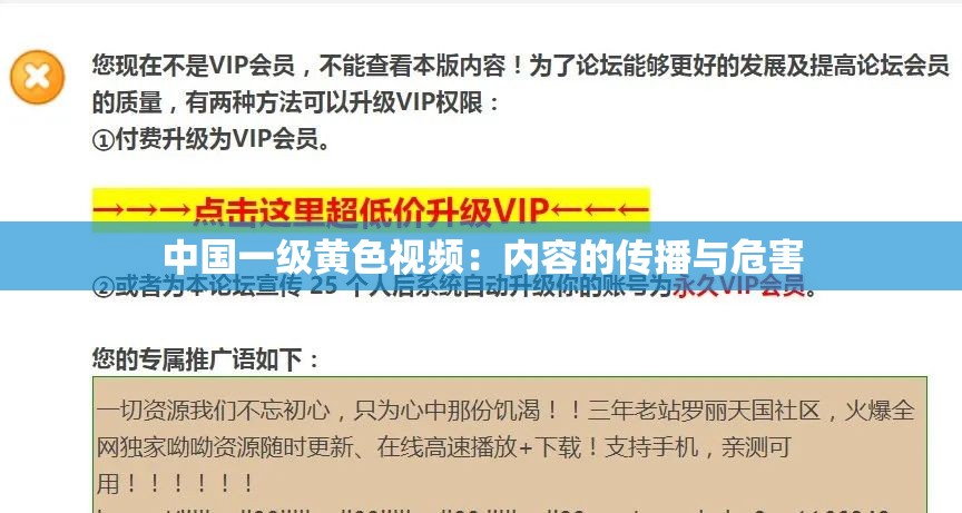 中国一级黄色视频：内容的传播与危害