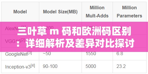 三叶草 m 码和欧洲码区别：详细解析及差异对比探讨