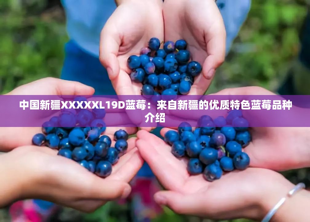 中国新疆XXXXXL19D蓝莓：来自新疆的优质特色蓝莓品种介绍
