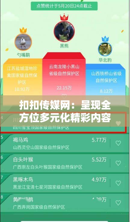扣扣传媒网：呈现全方位多元化精彩内容