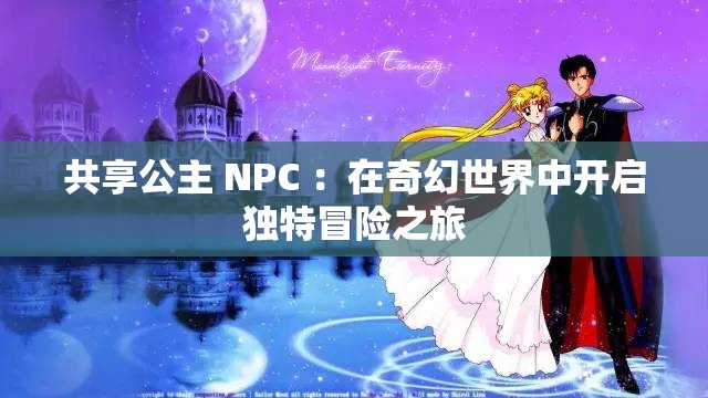 共享公主 NPC ：在奇幻世界中开启独特冒险之旅