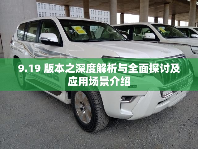9.19 版本之深度解析与全面探讨及应用场景介绍