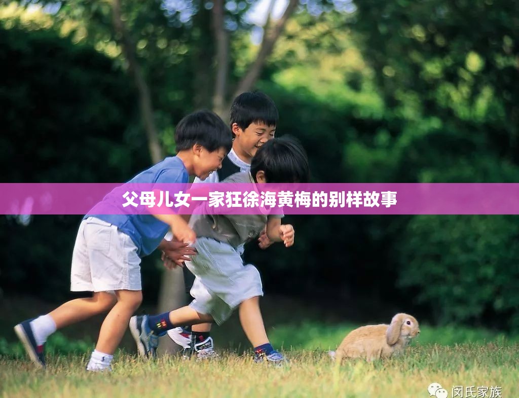 父母儿女一家狂徐海黄梅的别样故事