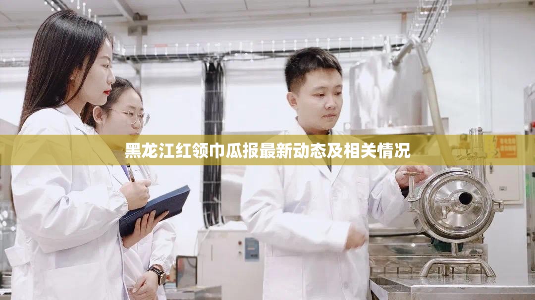 黑龙江红领巾瓜报最新动态及相关情况