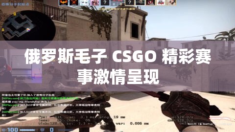 俄罗斯毛子 CSGO 精彩赛事激情呈现