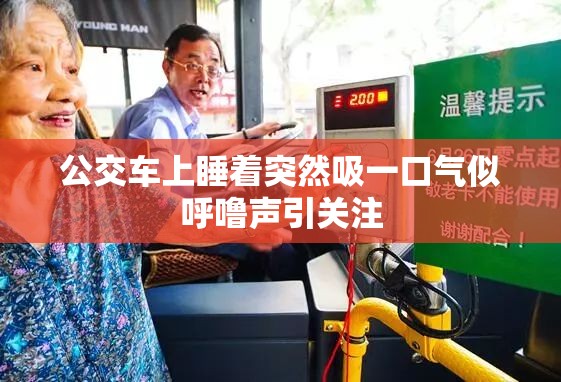 公交车上睡着突然吸一口气似呼噜声引关注