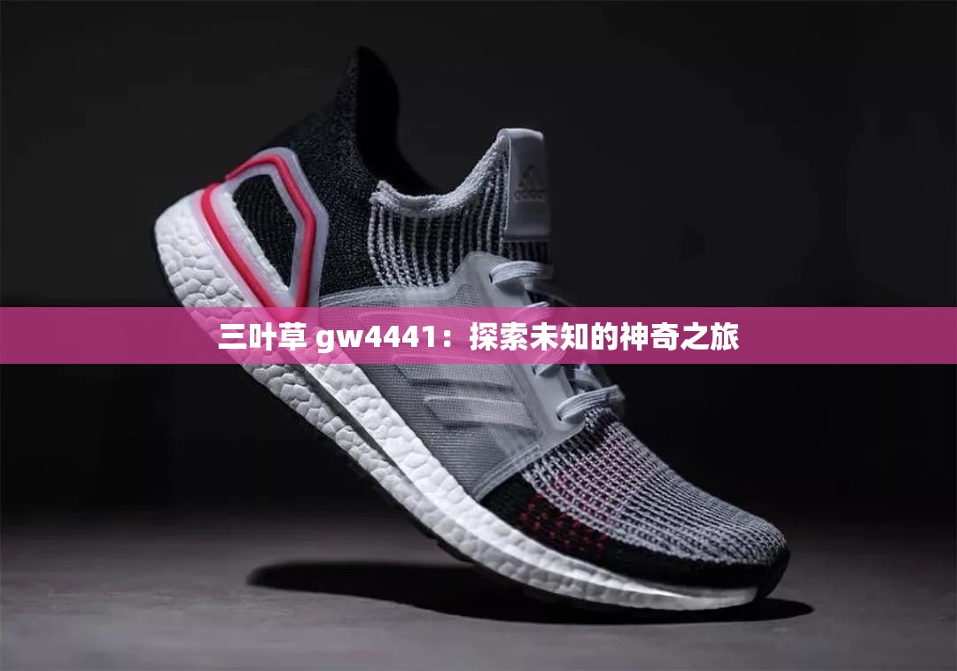 三叶草 gw4441：探索未知的神奇之旅