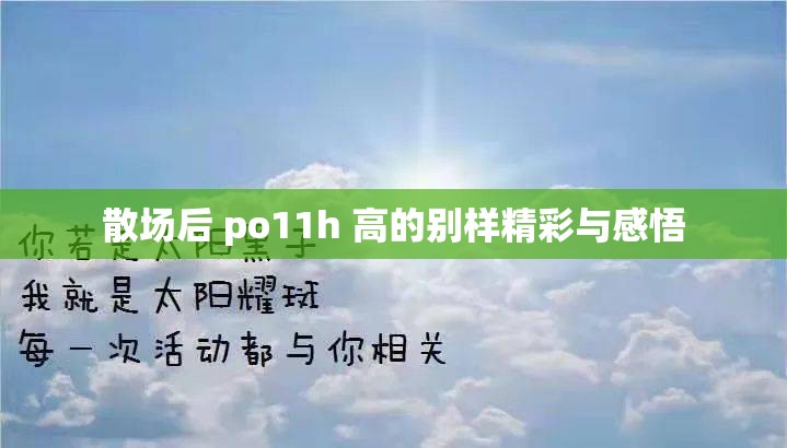 散场后 po11h 高的别样精彩与感悟