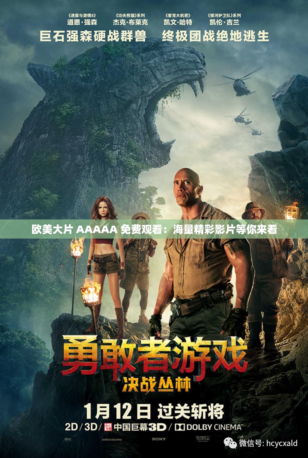 欧美大片 AAAAA 免费观看：海量精彩影片等你来看