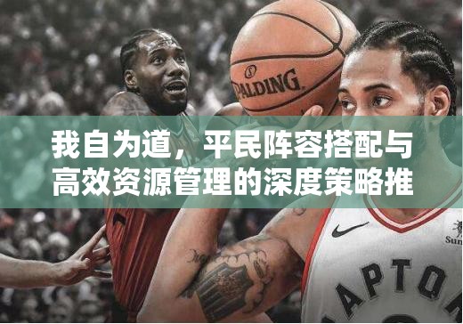 我自为道，平民阵容搭配与高效资源管理的深度策略推荐