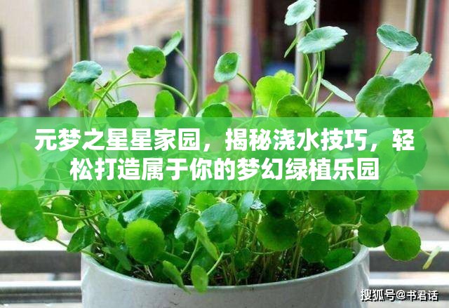 元梦之星星家园，揭秘浇水技巧，轻松打造属于你的梦幻绿植乐园
