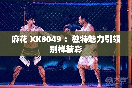 麻花 XK8049 ：独特魅力引领别样精彩