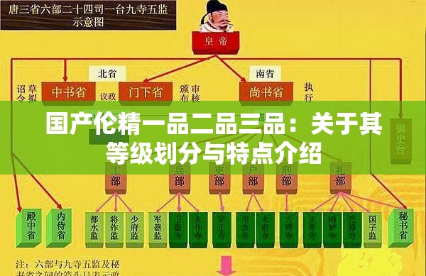 国产伦精一品二品三品：关于其等级划分与特点介绍