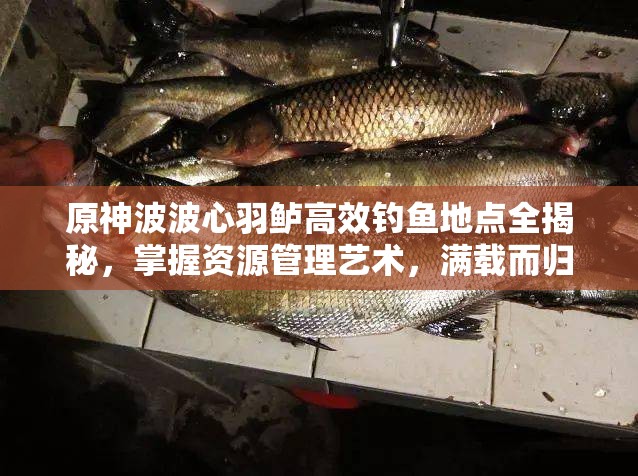 原神波波心羽鲈高效钓鱼地点全揭秘，掌握资源管理艺术，满载而归
