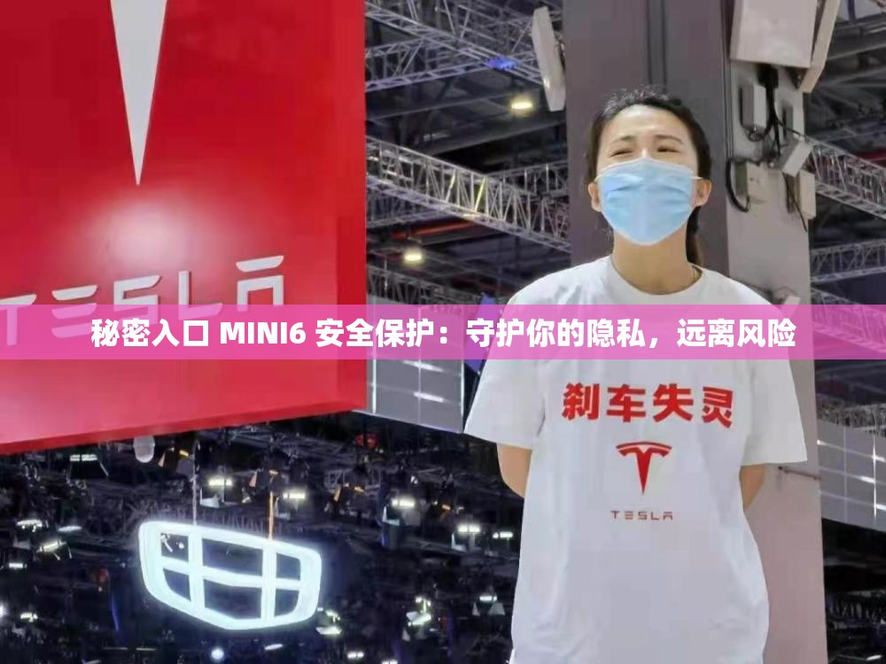 秘密入口 MINI6 安全保护：守护你的隐私，远离风险