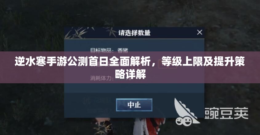 逆水寒手游公测首日全面解析，等级上限及提升策略详解
