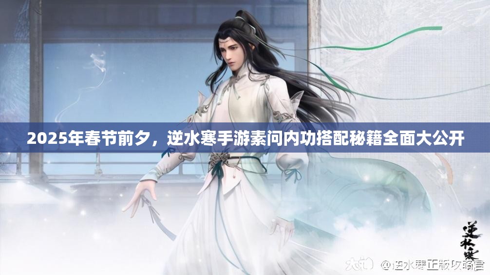 2025年春节前夕,逆水寒手游素问内功搭配秘籍全面大公开 2025年春节前夕,逆水寒手游素问内功搭配秘籍全面大公开