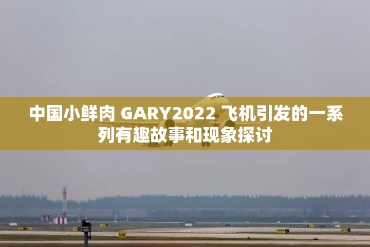 中国小鲜肉 GARY2022 飞机引发的一系列有趣故事和现象探讨