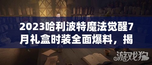 2023哈利波特魔法觉醒7月礼盒时装全面爆料，揭秘资源管理、高效利用策略以最大化礼盒价值