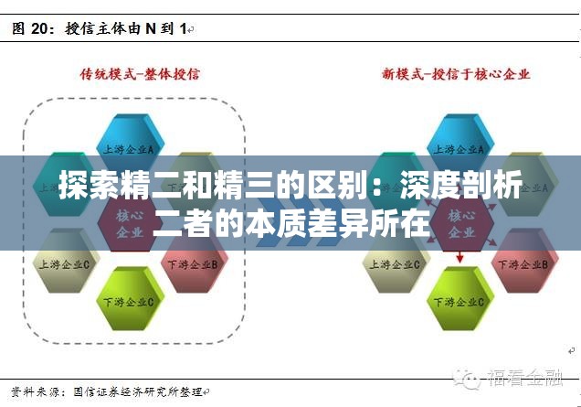 探索精二和精三的区别：深度剖析二者的本质差异所在