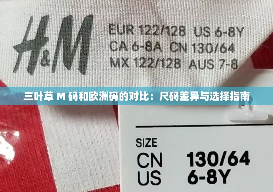 三叶草 M 码和欧洲码的对比：尺码差异与选择指南