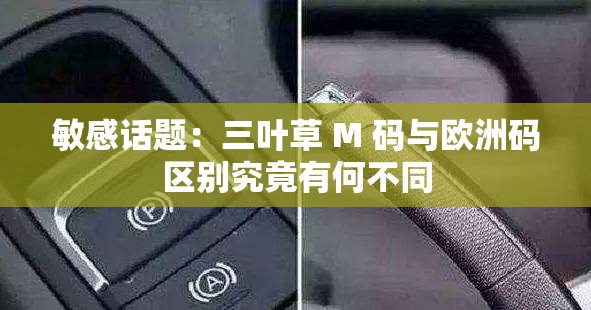 敏感话题：三叶草 M 码与欧洲码区别究竟有何不同