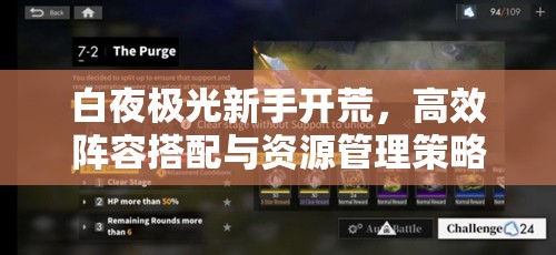 白夜极光新手开荒，高效阵容搭配与资源管理策略艺术指南