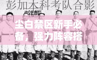 尘白禁区新手必备，强力阵容搭配推荐，助你高效打造开荒利器