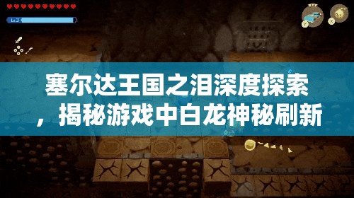 塞尔达王国之泪深度探索，揭秘游戏中白龙神秘刷新机制之谜