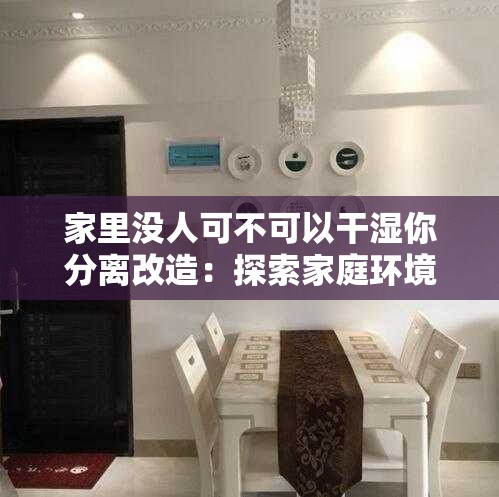 家里没人可不可以干湿你分离改造：探索家庭环境优化新思路
