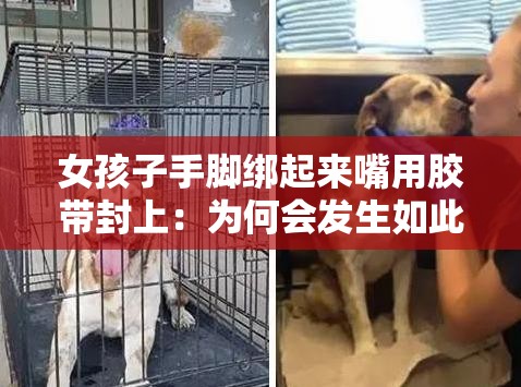 女孩子手脚绑起来嘴用胶带封上：为何会发生如此残忍之事